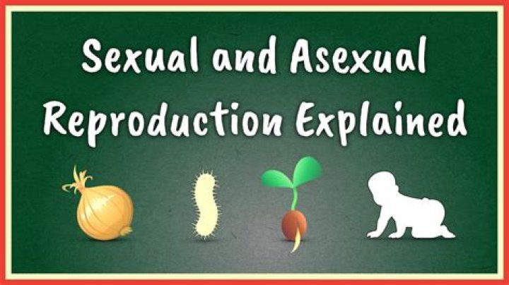 Are axolotl asexual?