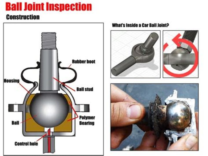 Are ball joints in rear?