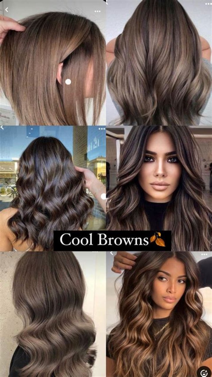 Are blondes or Browns prettier?