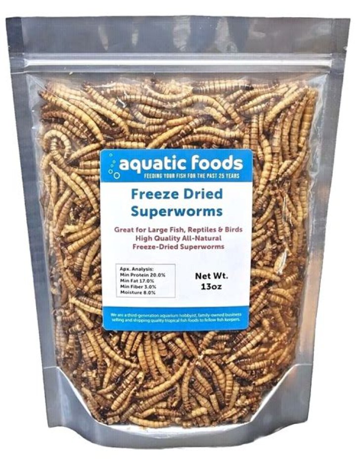 Are dried mealworms good for birds?