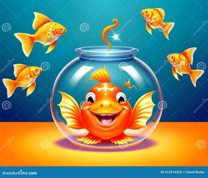 Are goldfish happy in a bowl?