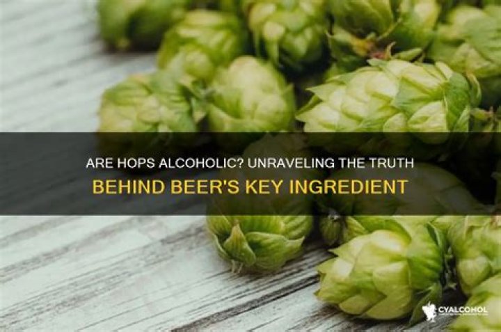 Are hops alcoholic?