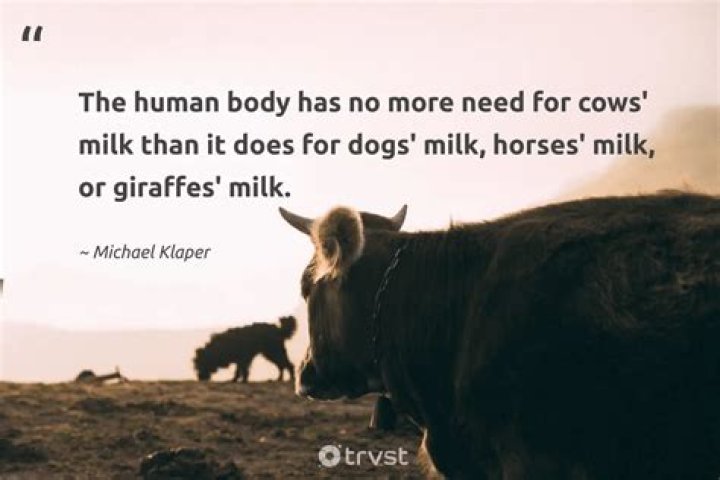 Are horses more intelligent than cows?