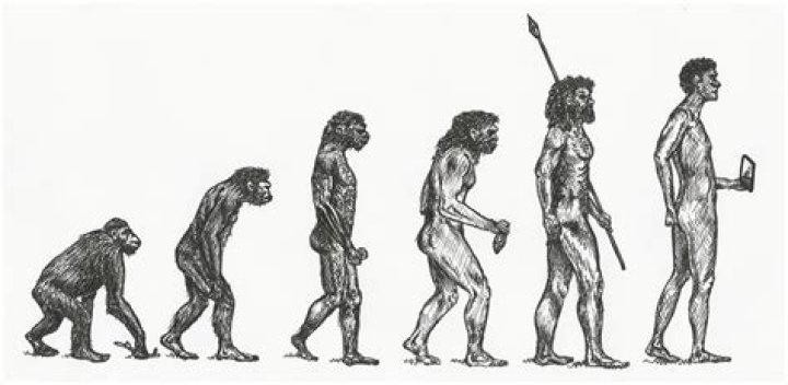 Are humans still evolving?