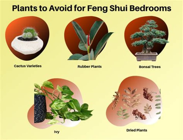 Are plants in bedrooms good for you?