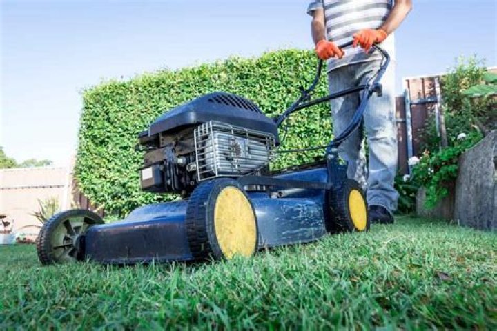 Are snakes scared of lawn mowers?