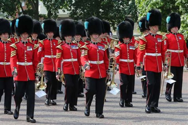 Are the Queen's guards soldiers?