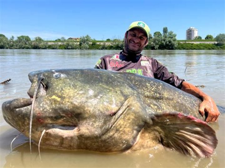 Are there big fish in Lake Superior?