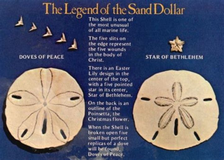 Are there doves inside a sand dollar?