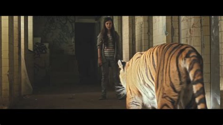 Are tigers afraid of humans?