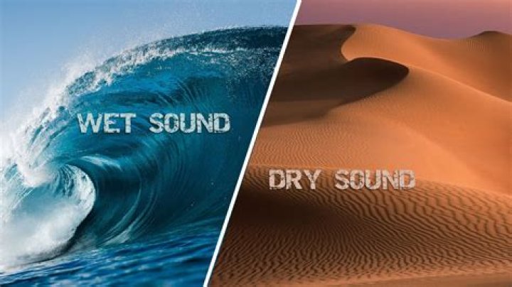 Are your bones wet or dry?