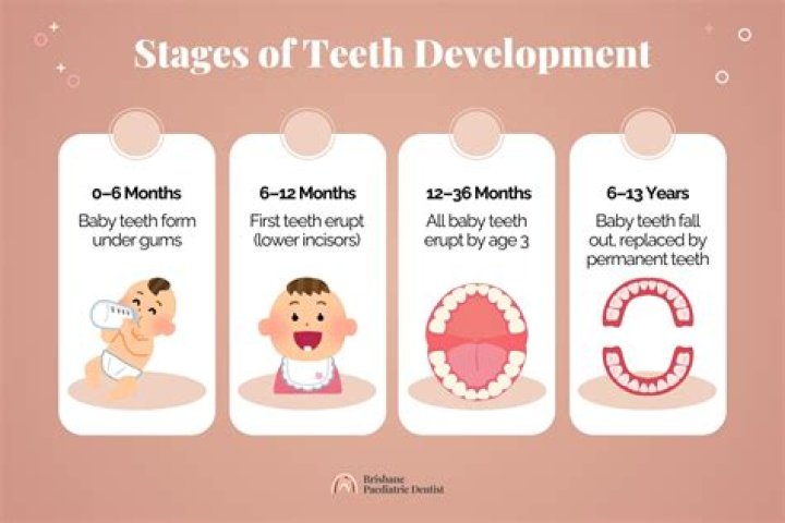 At what age do adults start losing their permanent teeth?