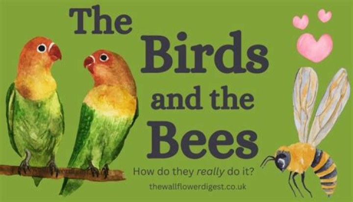 At what age do you talk to your son about the birds and the bees?