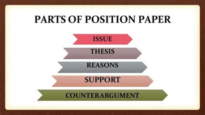 At which element of the position paper the author should state his her thesis statement?