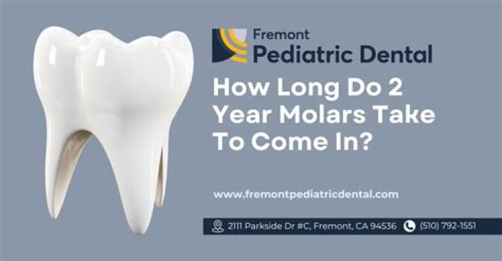 Can 12 year old molars come in at 14?