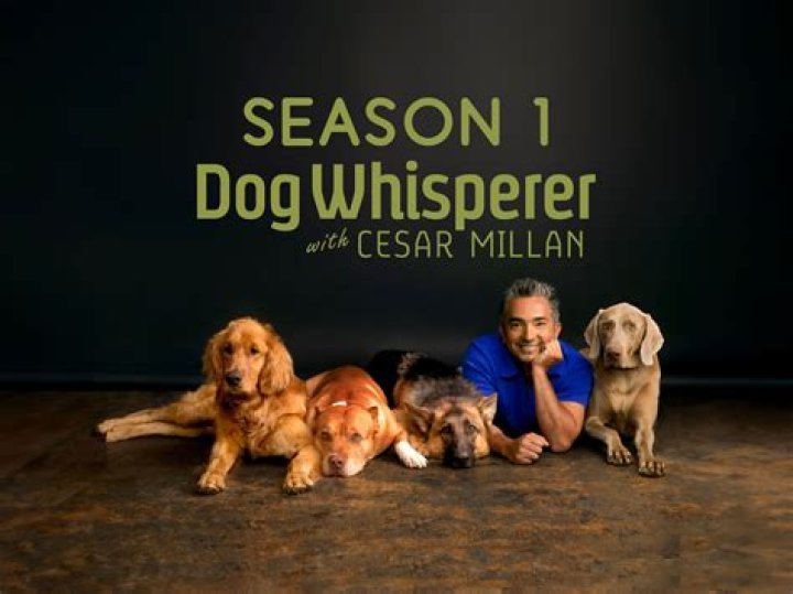 Can a dog whisper?