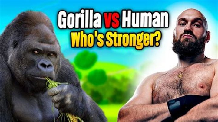 Can a human outrun a gorilla?