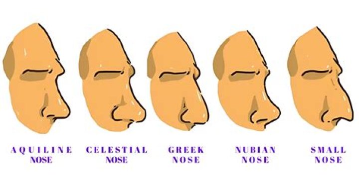 Can a piece of brain come out of your nose?