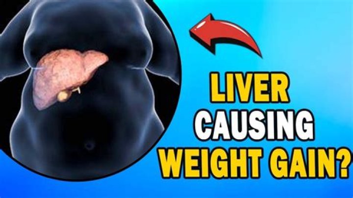 Can an overworked liver cause weight gain?