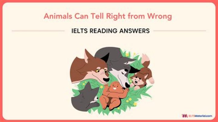 Can animals tell if you're a good person?