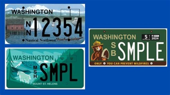 Can Arlo see license plates?