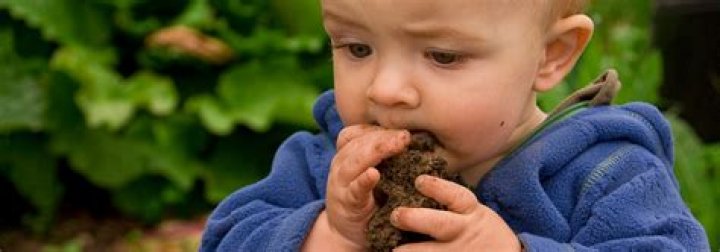 Can babies get sick from eating their poop?