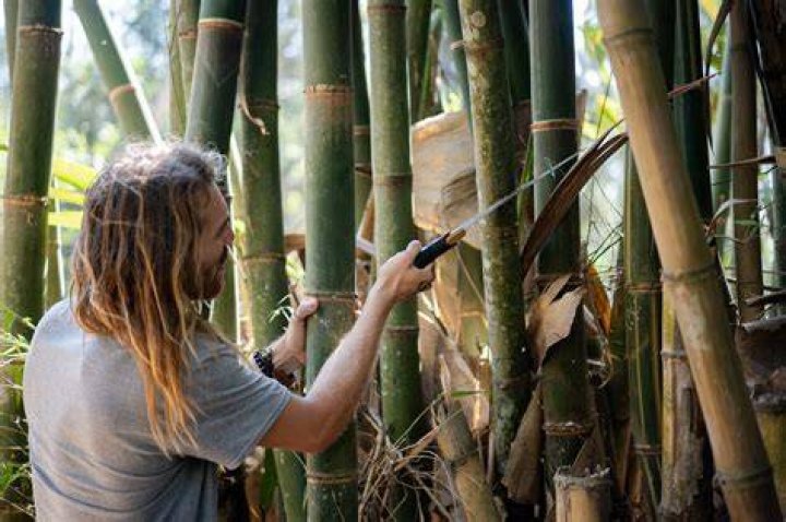 Can bamboo be sanitized?