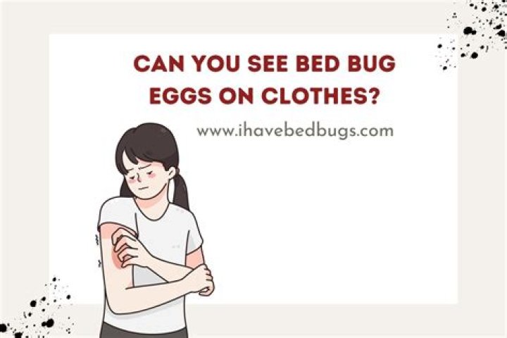 Can bed bug stay on clothes?