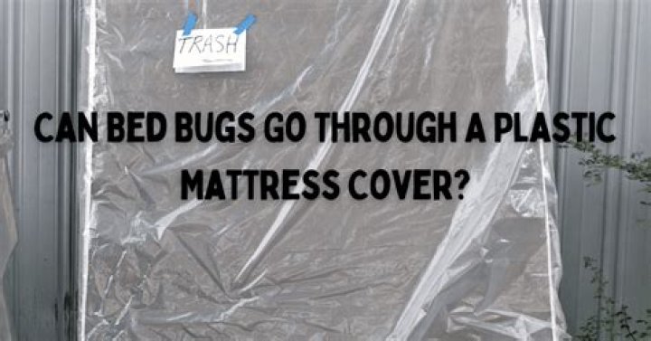 Can bed bugs go through walls?