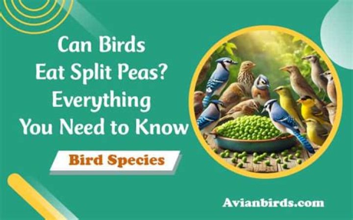 Can birds eat peas?