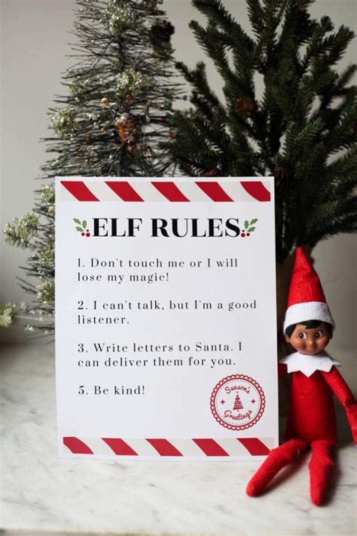 Can cats touch Elf on the Shelf?