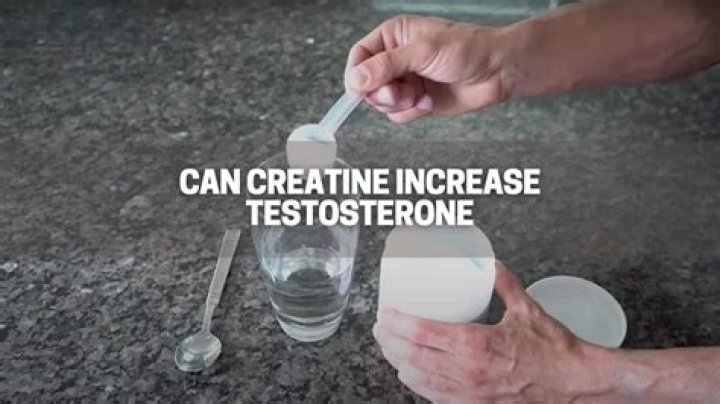 Can creatine increase testosterone?