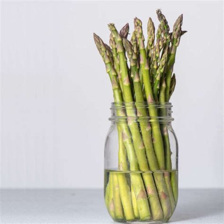 Can dogs eat all of the asparagus?