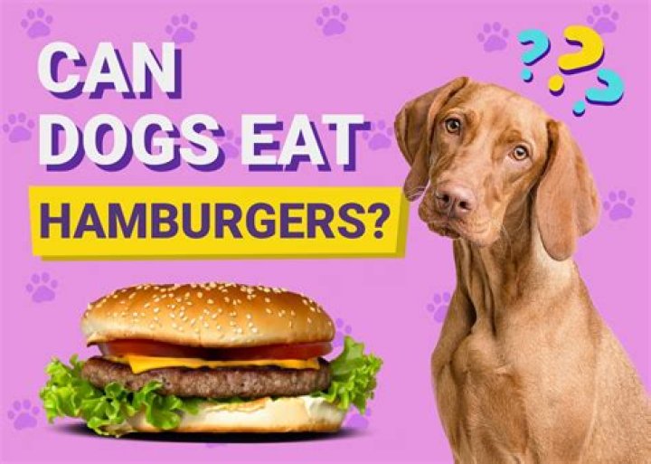 Can dogs eat brains?