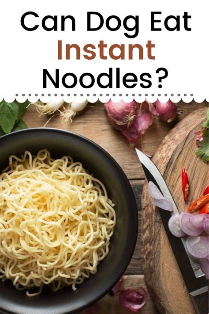 Can dogs eat instant noodles?