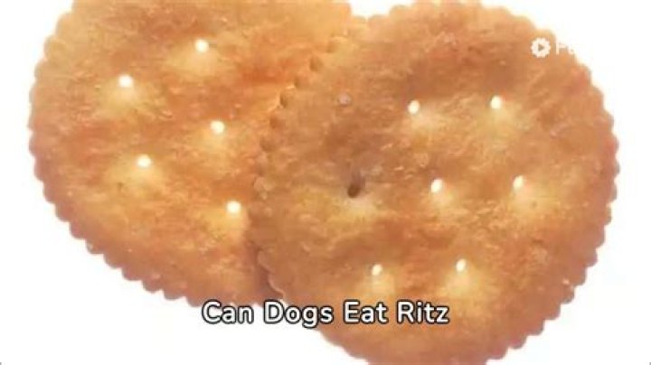 Can dogs eat Ritz crackers?