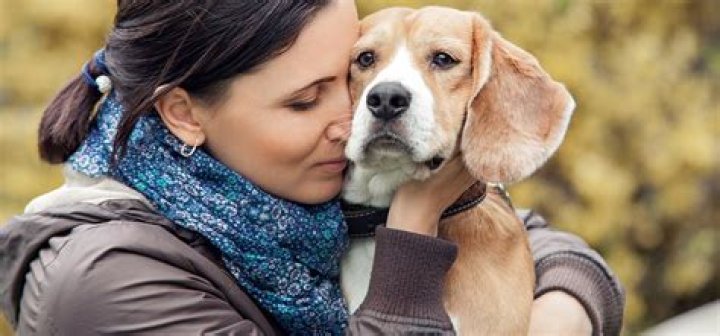 Can dogs smell depression?