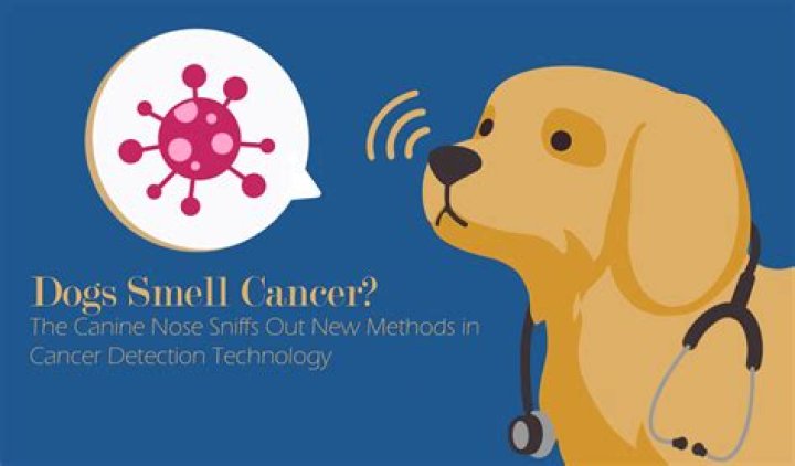 Can dogs smell evil?