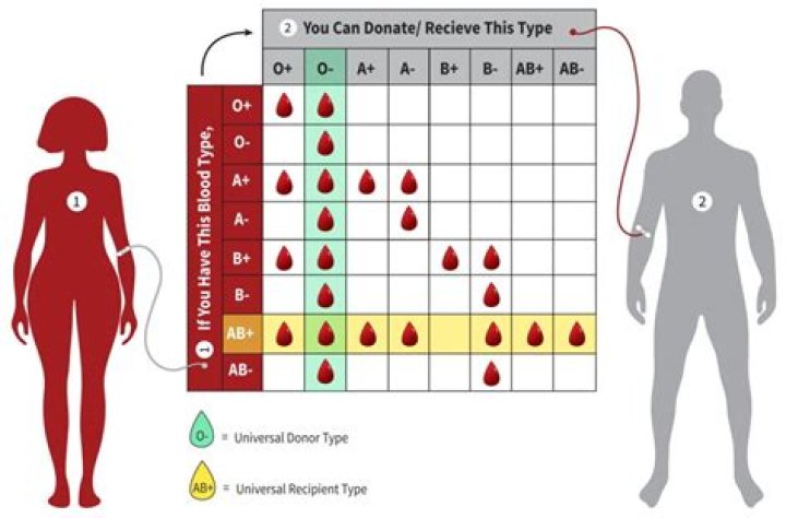 Can females donate blood?