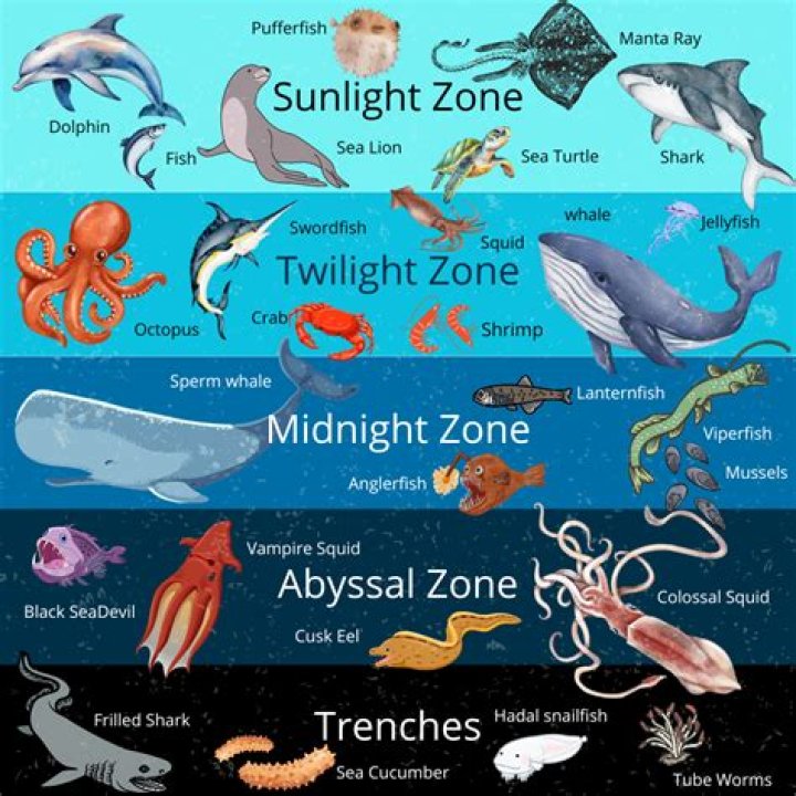 Can ghouls go in sunlight?