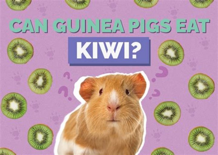 Can guinea pigs eat kiwi?