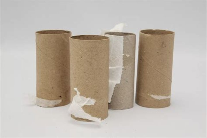 Can hamsters chew on toilet paper rolls?
