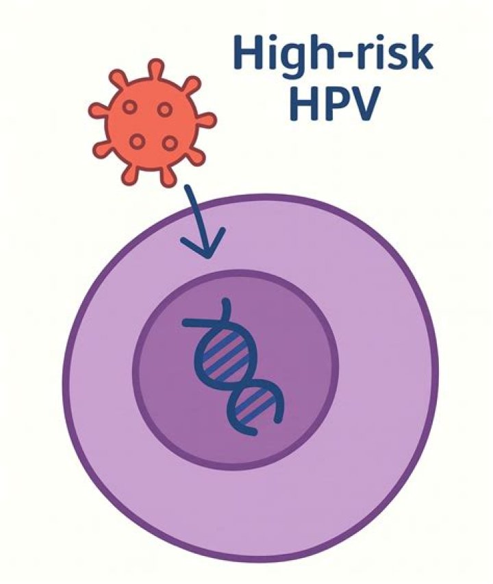Can high risk HPV come back?