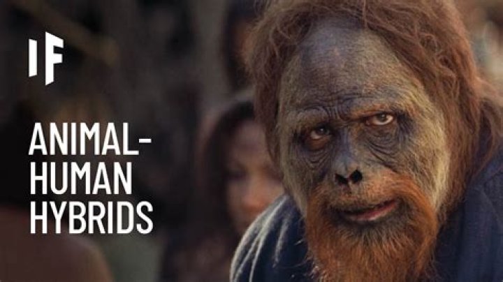 Can humans self impregnate?