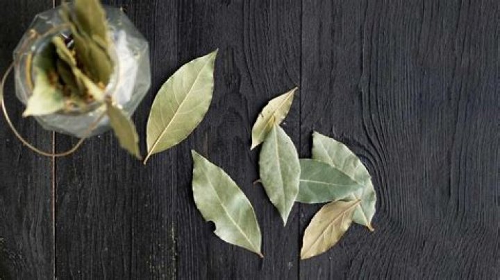 Can I drink bay leaf?