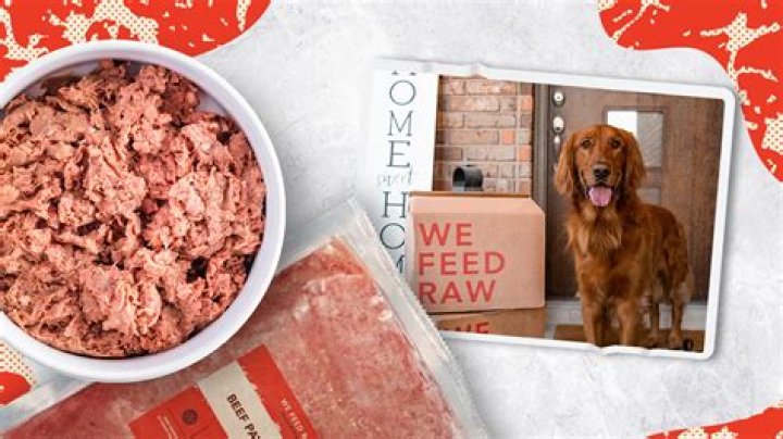 Can I feed my dog raw ground beef everyday?