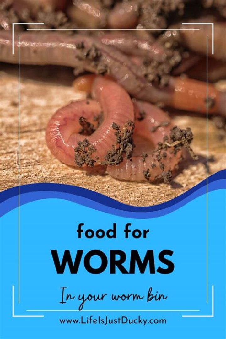 Can I feed my worms nuts?