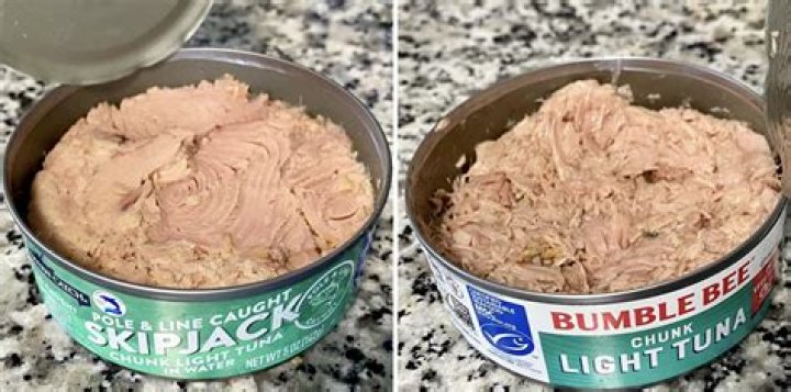 Can I give my dog chunk light tuna?