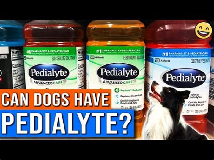 Can I give my dog Pedialyte?
