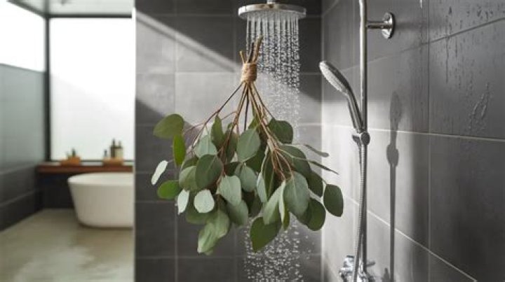 Can I hang eucalyptus in my shower if I have a dog?